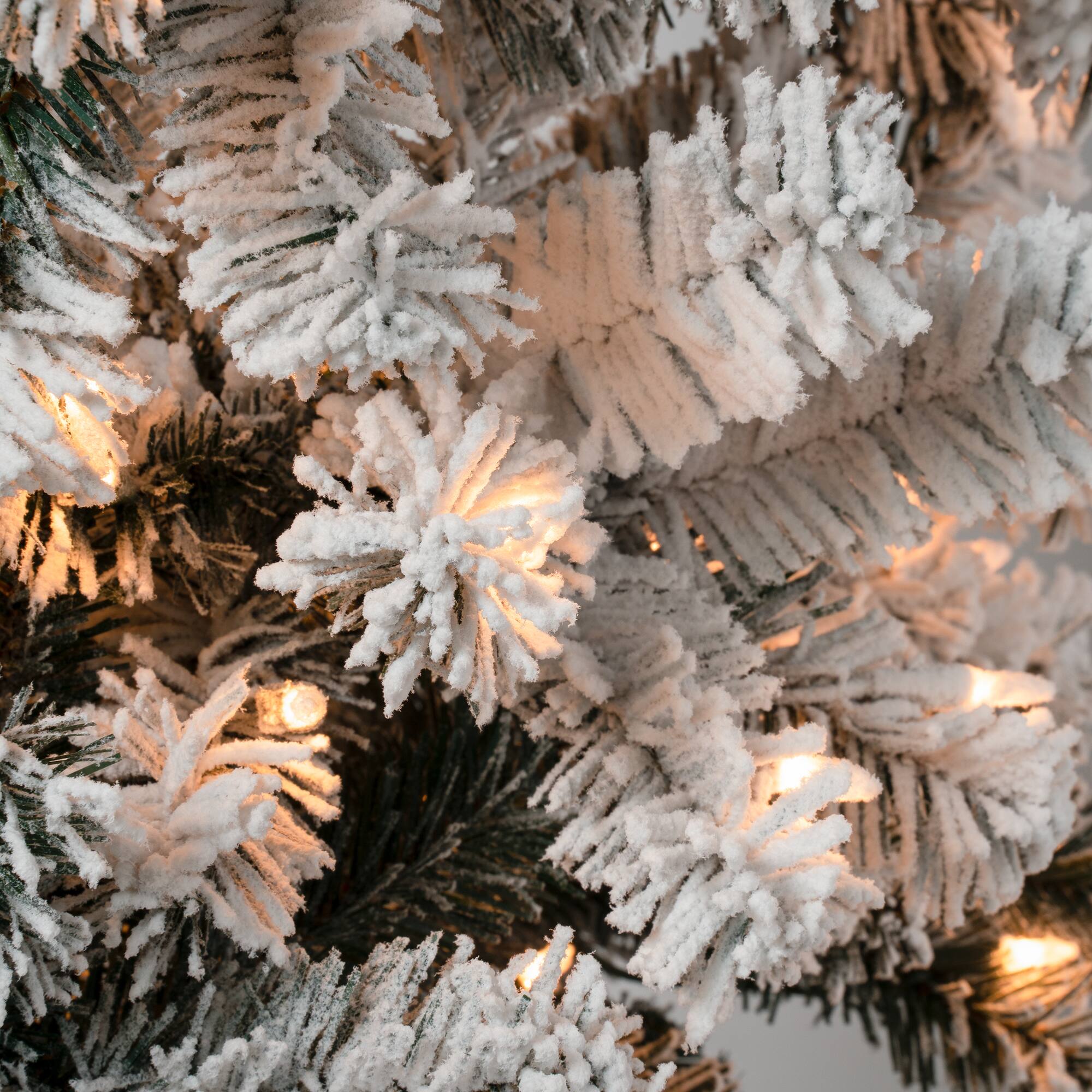 6ft. Pre-Lit Flocked Acacia Pencil Artificial Christmas Tree, Clear Lights